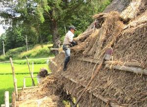 茅葺き民家の葺き替え作業